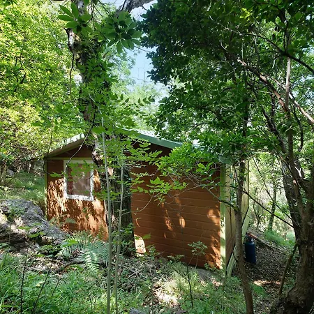 Nel Bosco *
