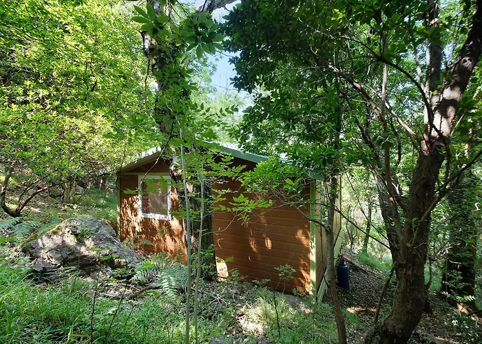 Nel Bosco *