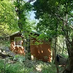 Nel Bosco *