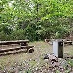 Nel Bosco