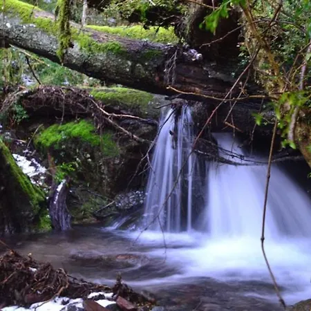 Dom wakacyjny Nel Bosco