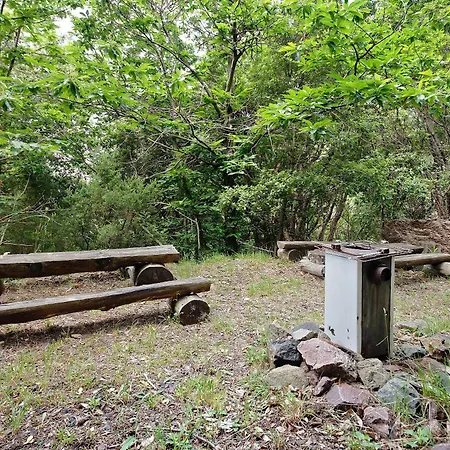 Nel Bosco
