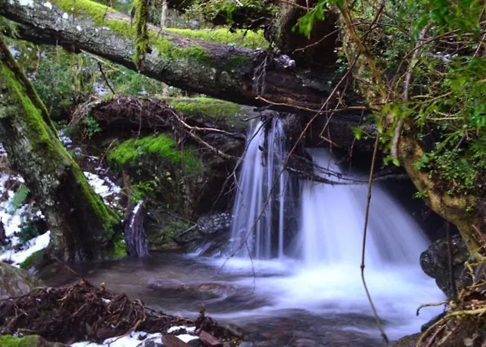 Σπίτι διακοπών Nel Bosco